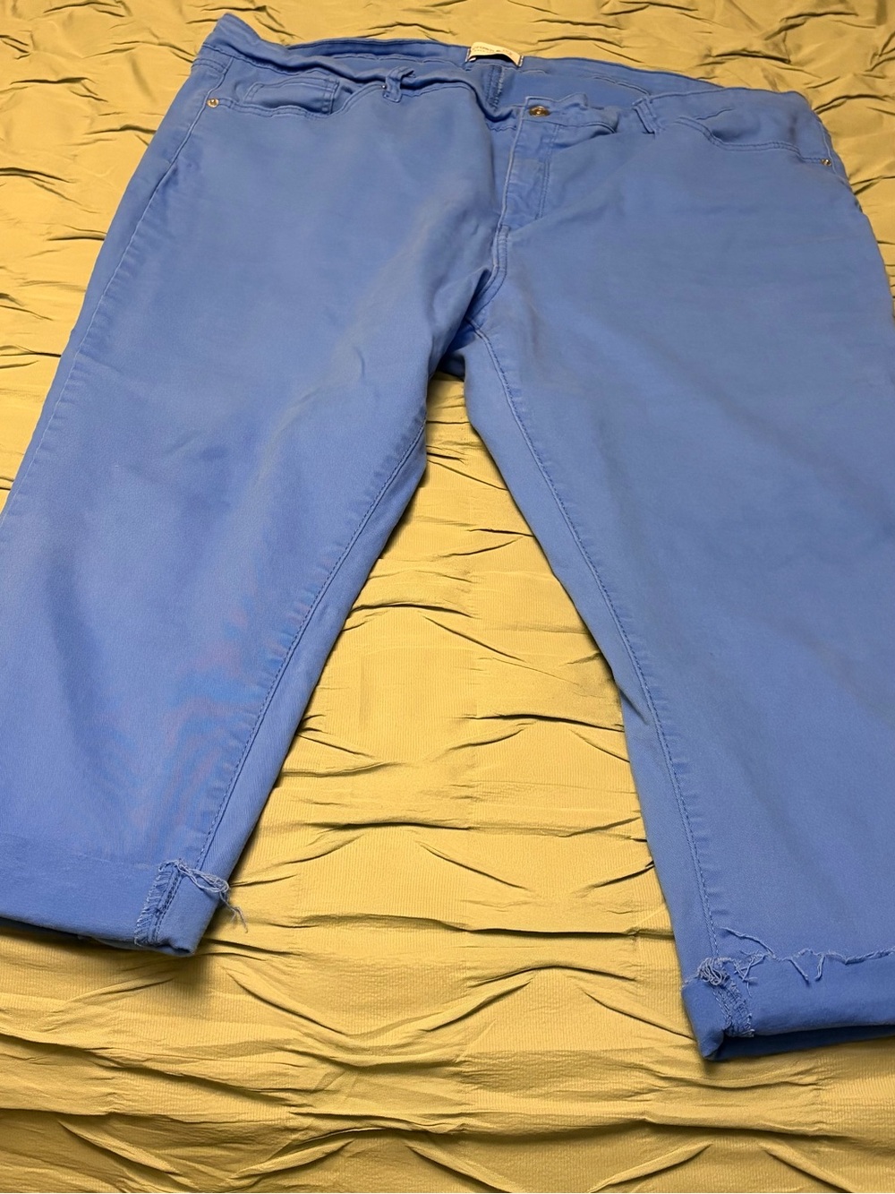 crown & ivy Cropped Ankle Pants in Periwinkle Blue